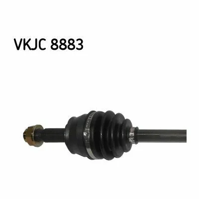 distriauto2-752081
