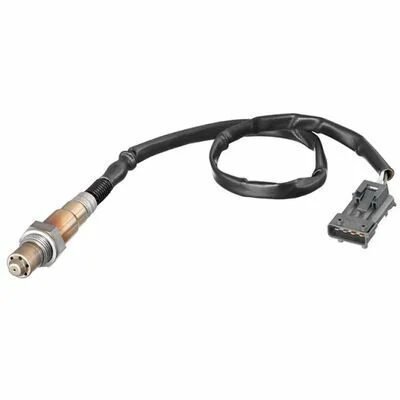 distriauto2-795970