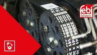 distriauto3-743401