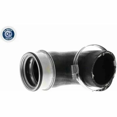 distriauto5-848496