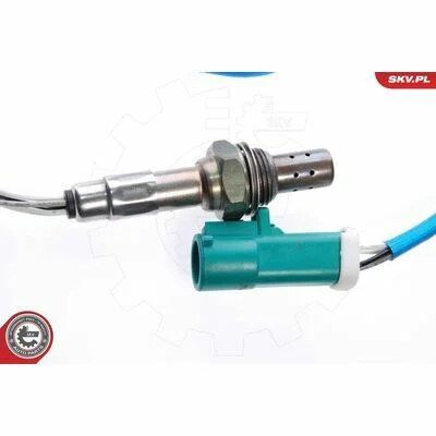 distriauto6-810567