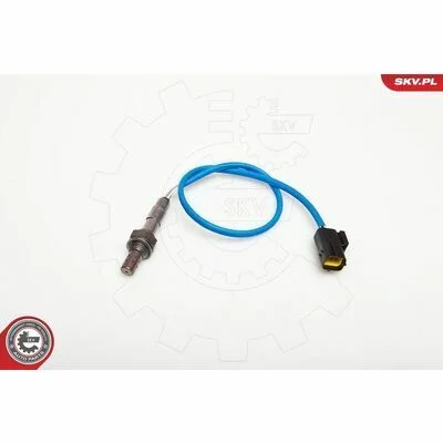 distriauto6-810596