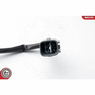 distriauto6-810891