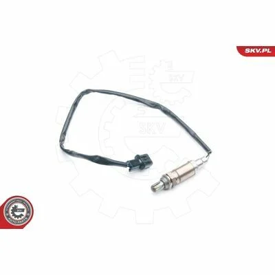 distriauto6-810938