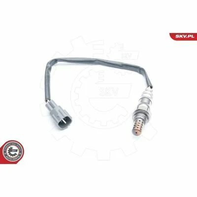 distriauto6-811098