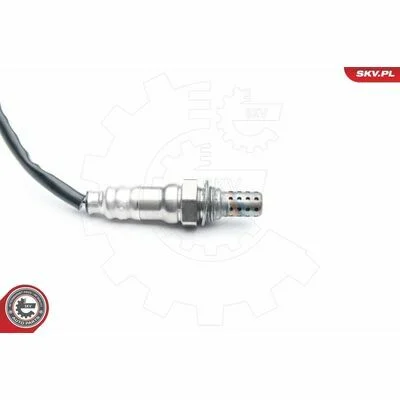 distriauto6-811111