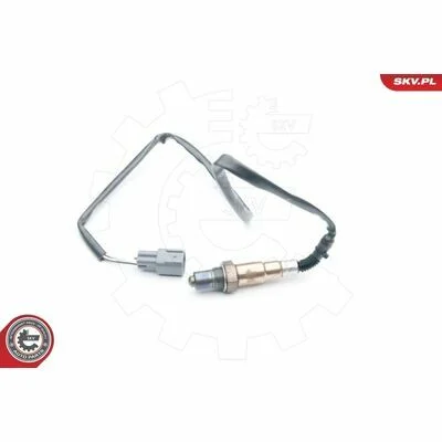 distriauto6-811115