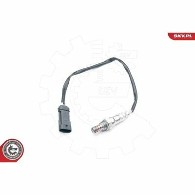 distriauto6-811413
