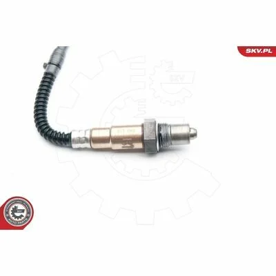 distriauto6-811496
