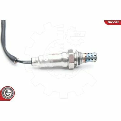 distriauto6-811588