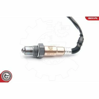 distriauto6-811616