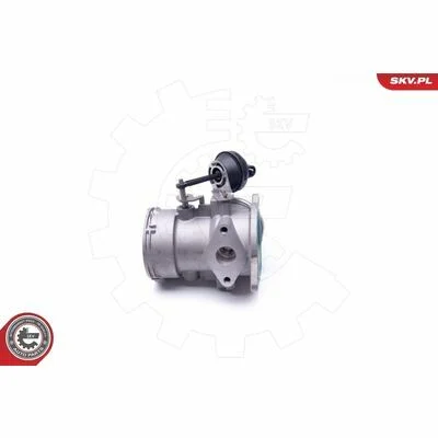 distriauto6-828019