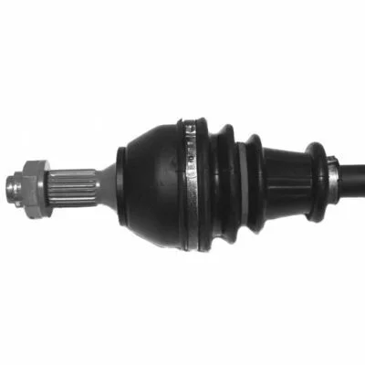 distriauto6-830047