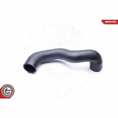 distriauto6-847446