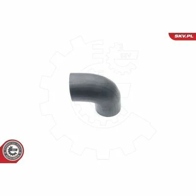 distriauto6-847606