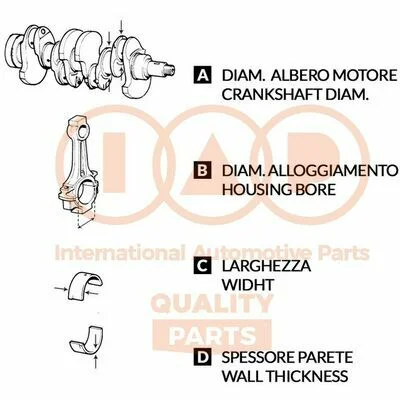 distriauto6-893402